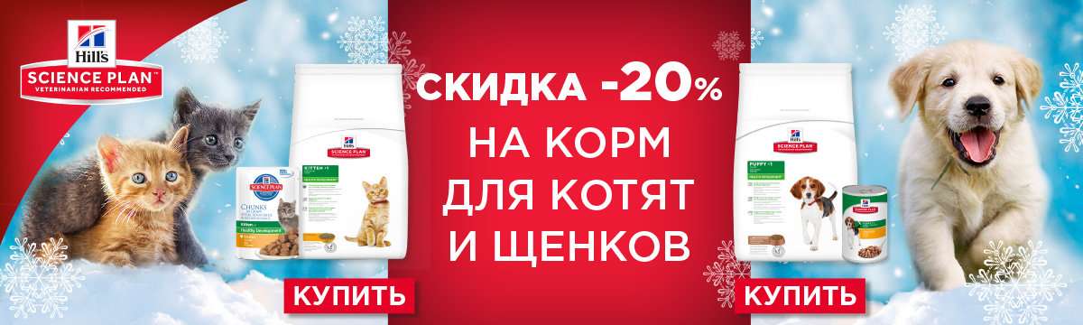 Купить Корма В Самаре